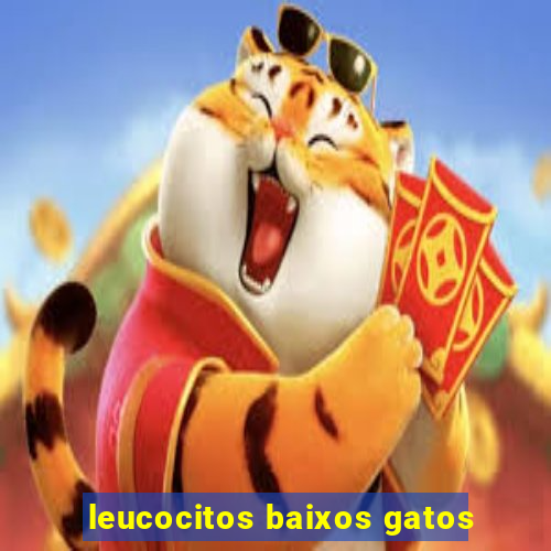 leucocitos baixos gatos